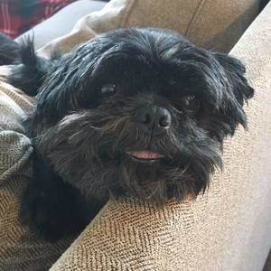 Meet your Posher, Caren